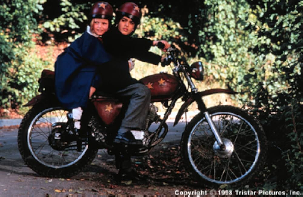 マドレーヌの画像