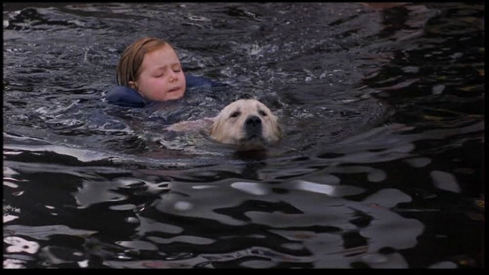 マドレーヌの画像