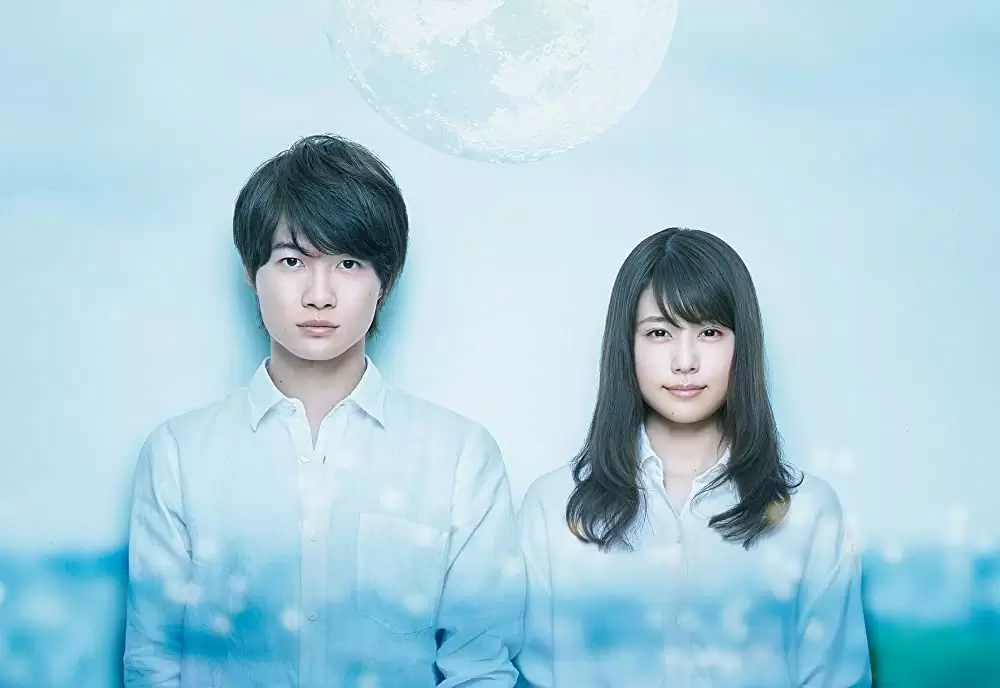 フォルトゥナの瞳の画像