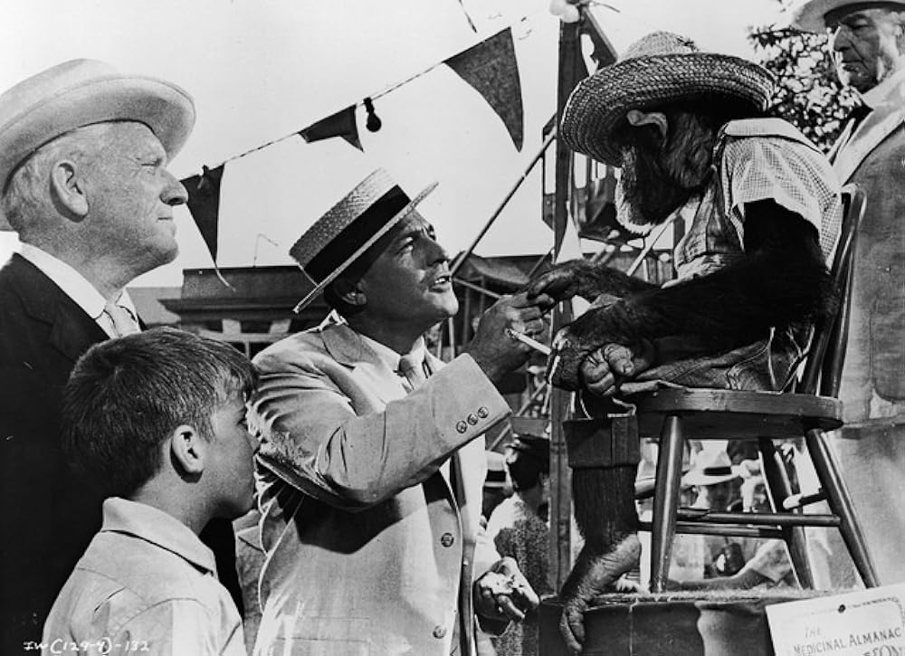 風の遺産の画像