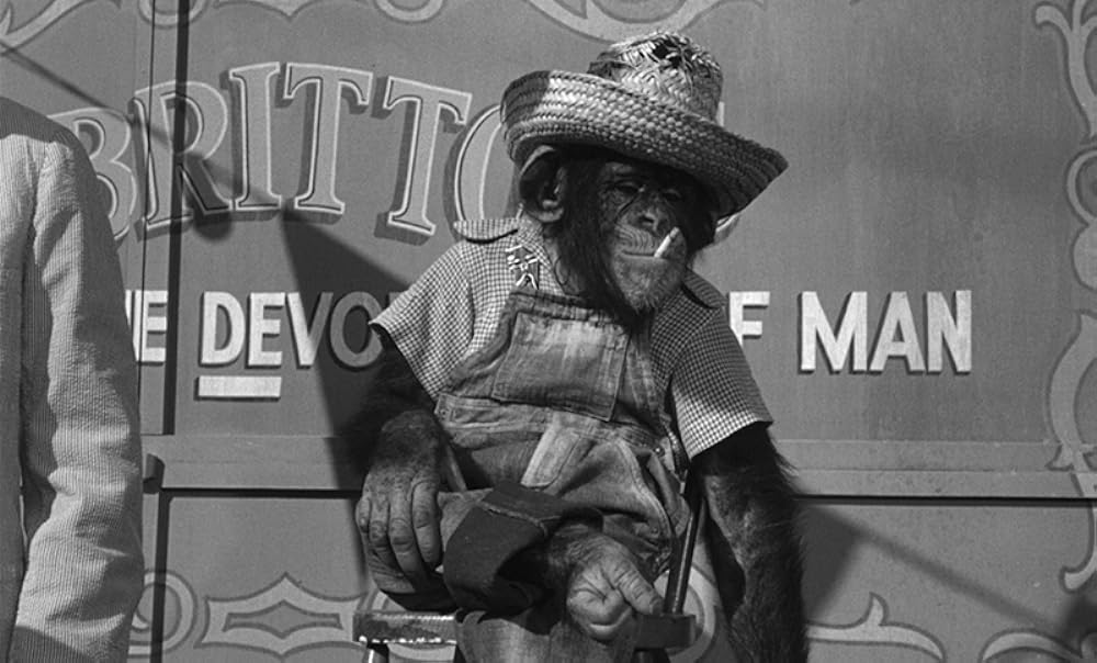 風の遺産の画像