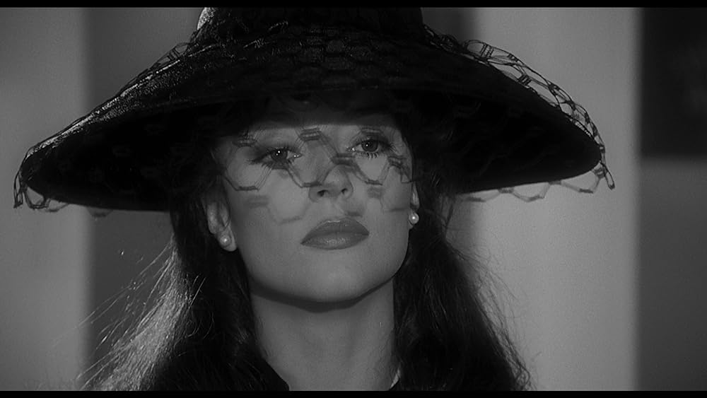 スティーブ・マーティンの 四つ数えろの画像