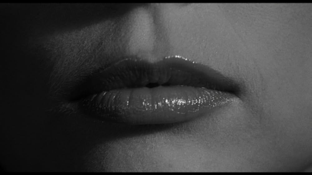 スティーブ・マーティンの 四つ数えろの画像