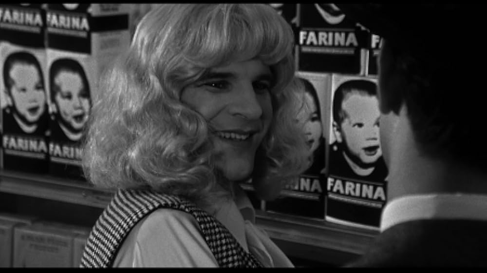 スティーブ・マーティンの 四つ数えろの画像