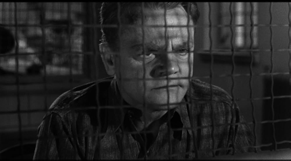 スティーブ・マーティンの 四つ数えろの画像