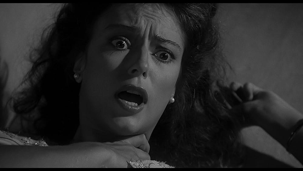 スティーブ・マーティンの 四つ数えろの画像