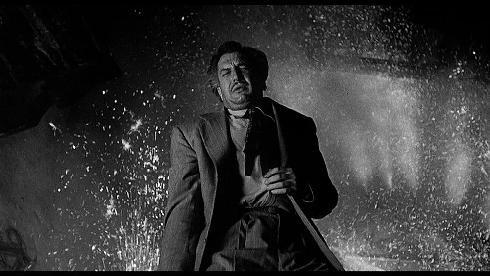 スティーブ・マーティンの 四つ数えろの画像