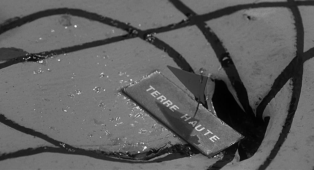 スティーブ・マーティンの 四つ数えろの画像