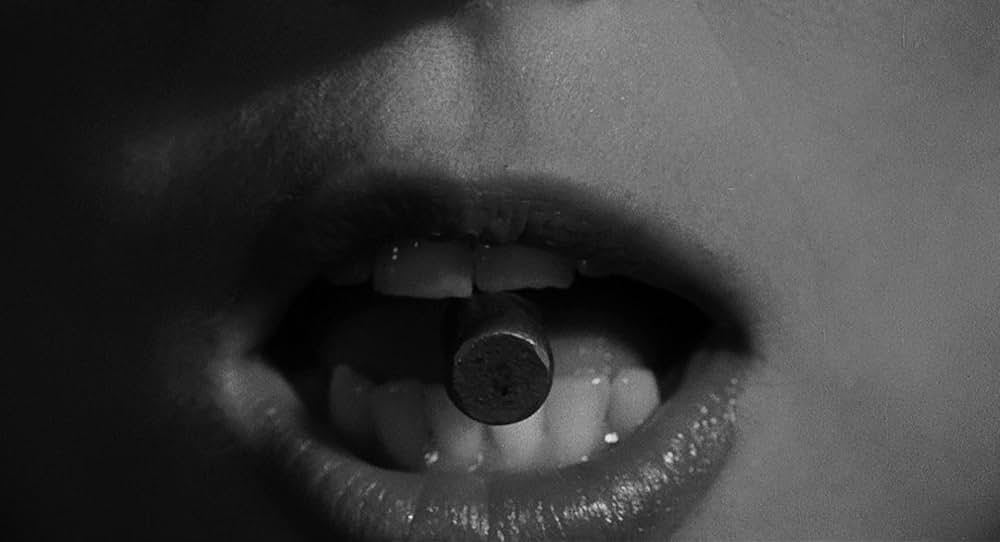 スティーブ・マーティンの 四つ数えろの画像