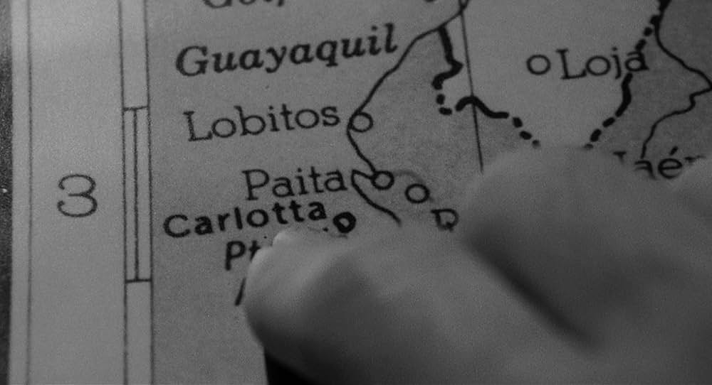 スティーブ・マーティンの 四つ数えろの画像