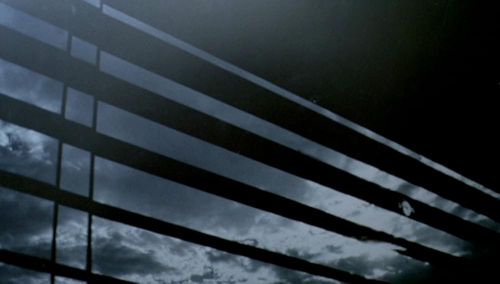 セブンス・コンチネントの画像