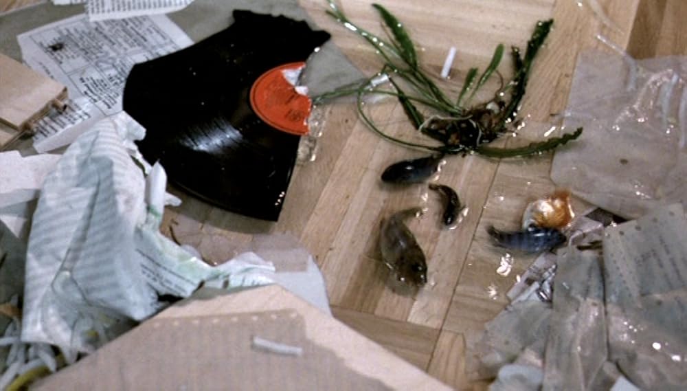 セブンス・コンチネントの画像