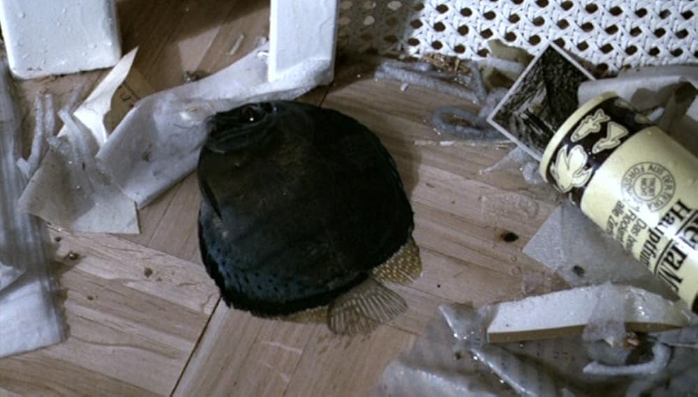 セブンス・コンチネントの画像