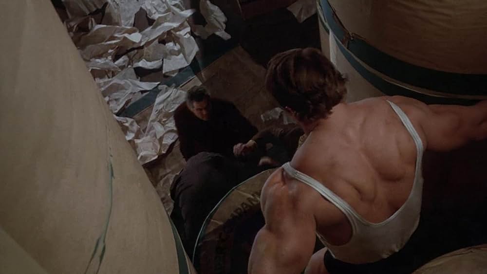 アーノルド・シュワルツェネッガーのSF超人ヘラクレス／アーノルド・シュワルツェネッガーのヘラクレス／アドヴェンチャー・オブ・ヒーローの画像