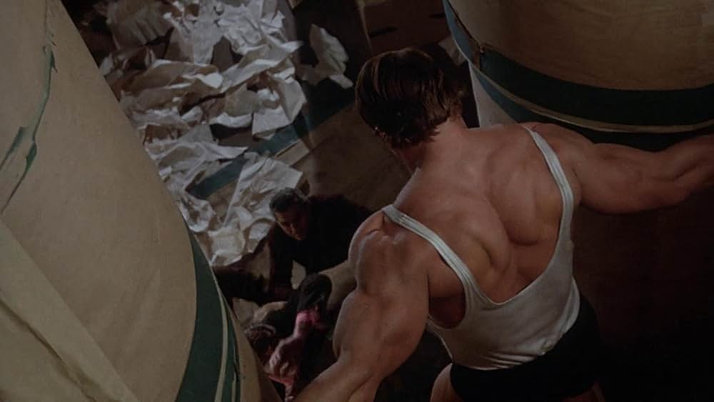 アーノルド・シュワルツェネッガーのSF超人ヘラクレス／アーノルド・シュワルツェネッガーのヘラクレス／アドヴェンチャー・オブ・ヒーローの画像