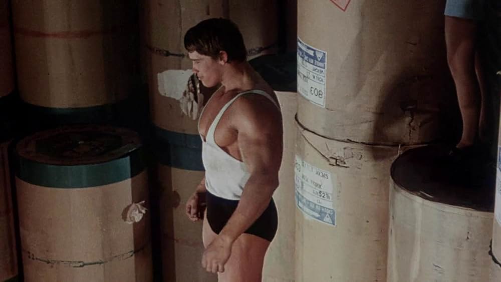 アーノルド・シュワルツェネッガーのSF超人ヘラクレス／アーノルド・シュワルツェネッガーのヘラクレス／アドヴェンチャー・オブ・ヒーローの画像