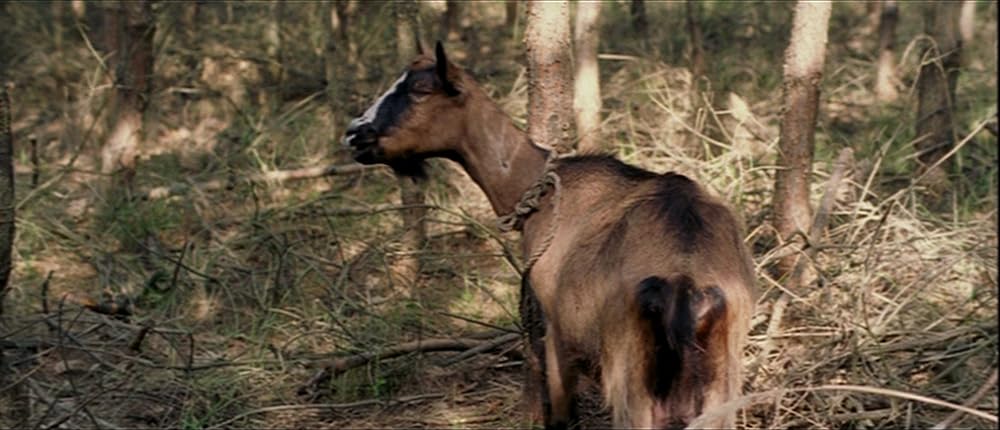 タイム・オブ・ザ・ウルフの画像