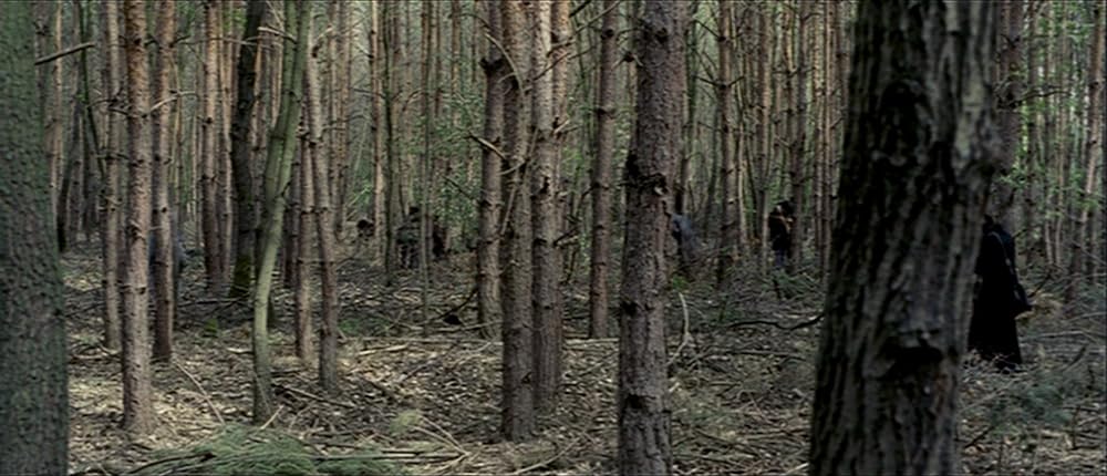 タイム・オブ・ザ・ウルフの画像