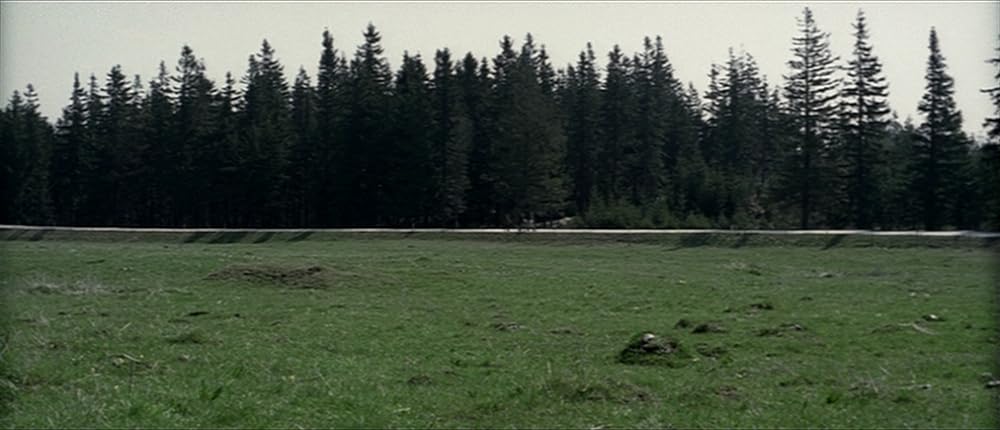 タイム・オブ・ザ・ウルフの画像