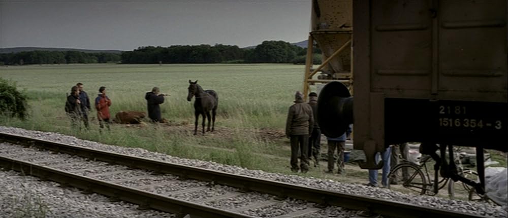 タイム・オブ・ザ・ウルフの画像