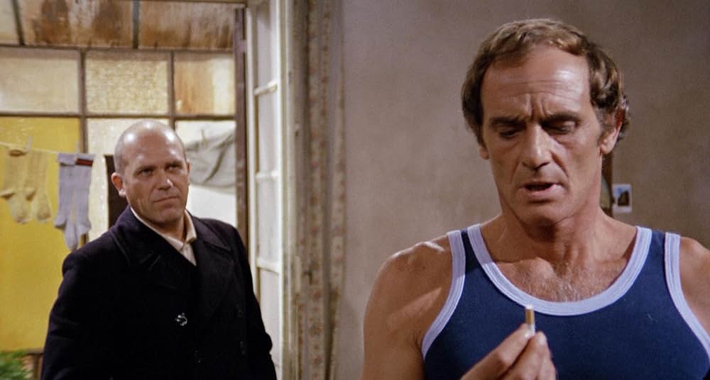 ミラノカリブロ9の画像