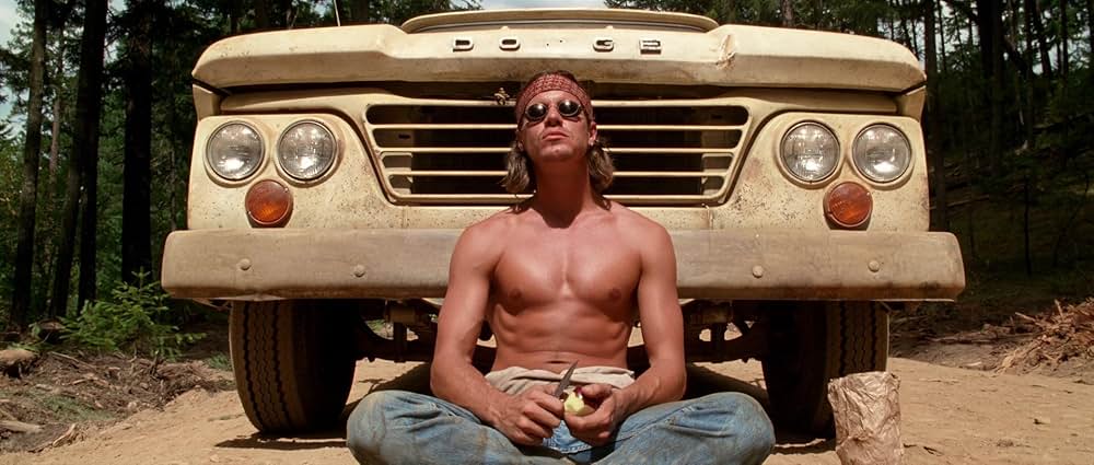 ファイヤー・イン・ザ・スカイ／未知からの生還の画像