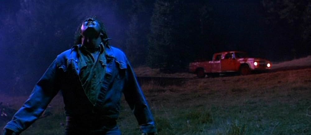 ファイヤー・イン・ザ・スカイ／未知からの生還の画像