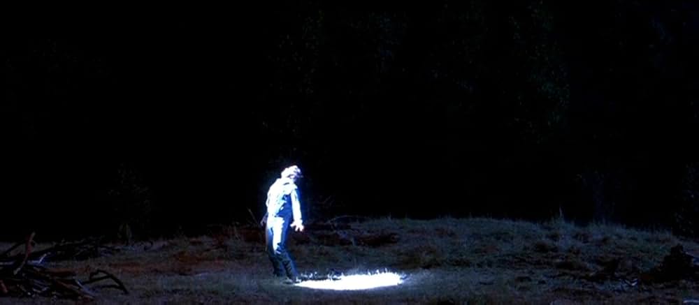 ファイヤー・イン・ザ・スカイ／未知からの生還の画像