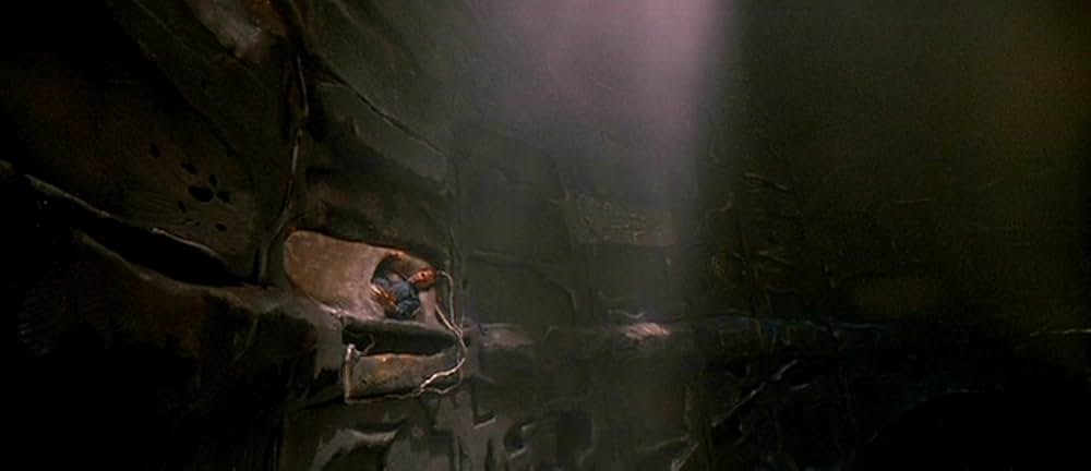 ファイヤー・イン・ザ・スカイ／未知からの生還の画像