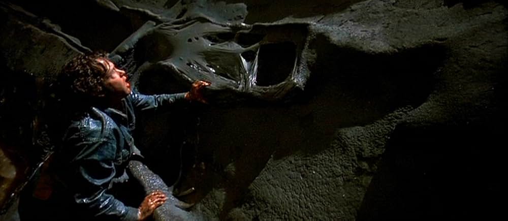 ファイヤー・イン・ザ・スカイ／未知からの生還の画像