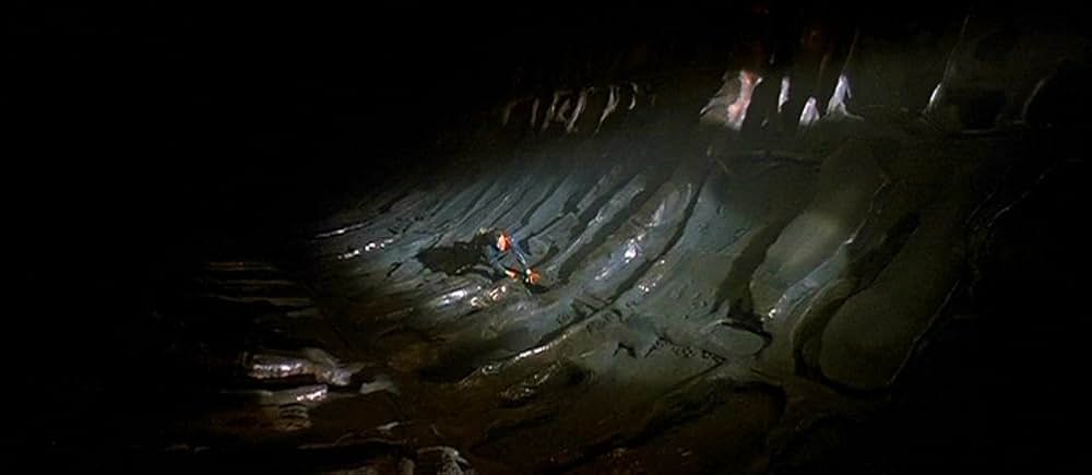 ファイヤー・イン・ザ・スカイ／未知からの生還の画像