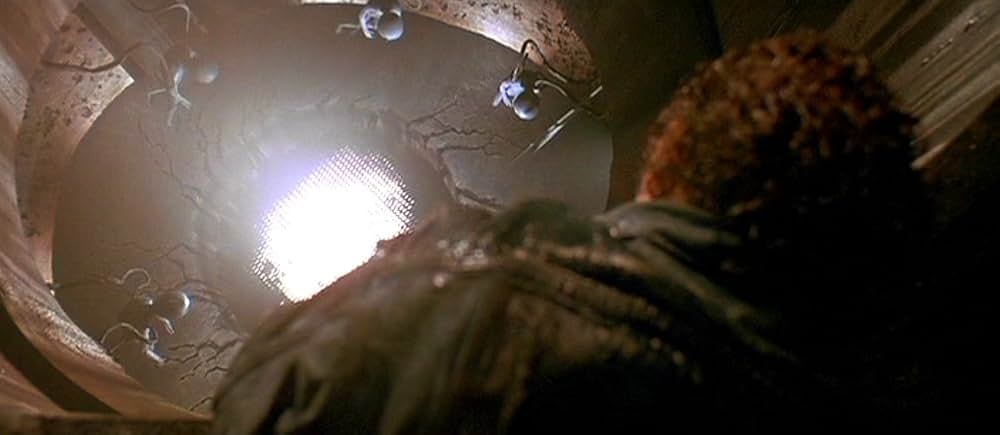 ファイヤー・イン・ザ・スカイ／未知からの生還の画像