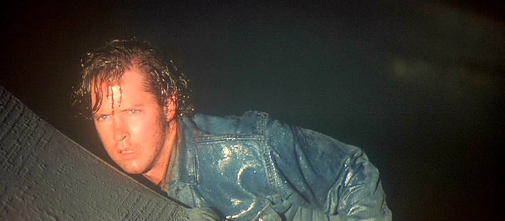 ファイヤー・イン・ザ・スカイ／未知からの生還の画像