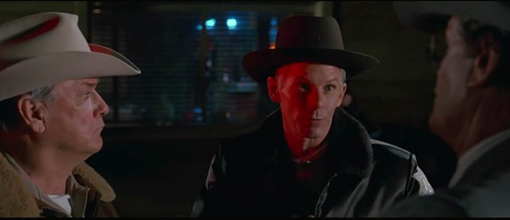 ファイヤー・イン・ザ・スカイ／未知からの生還の画像