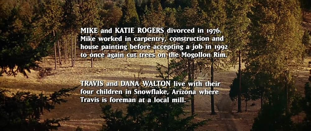 ファイヤー・イン・ザ・スカイ／未知からの生還の画像