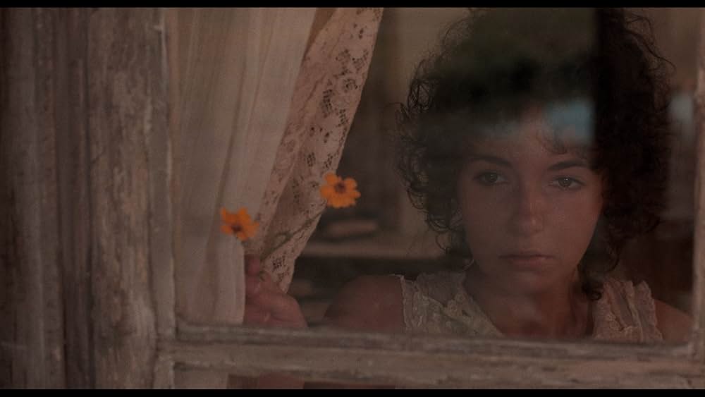 ゴーイング・サウスの画像