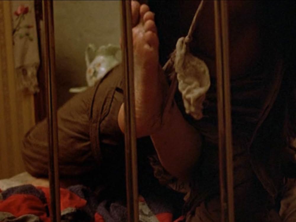 ゴーイング・サウスの画像