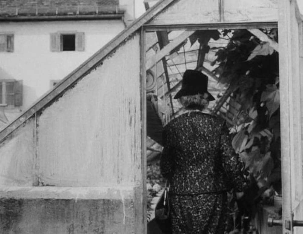 和解せず／妥協せざる人々の画像