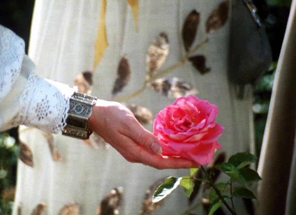 モルギアナの画像