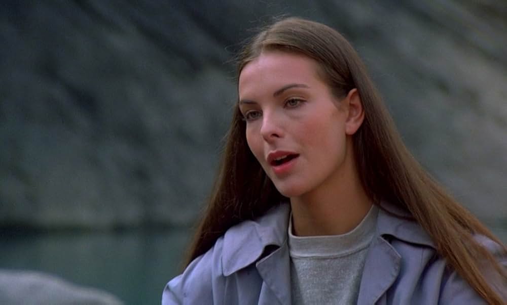 料理は冷たくしての画像