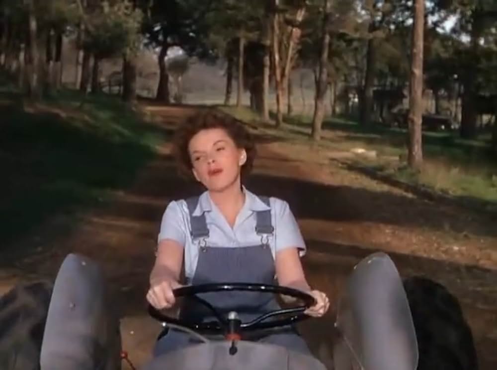 サマー・ストックの画像