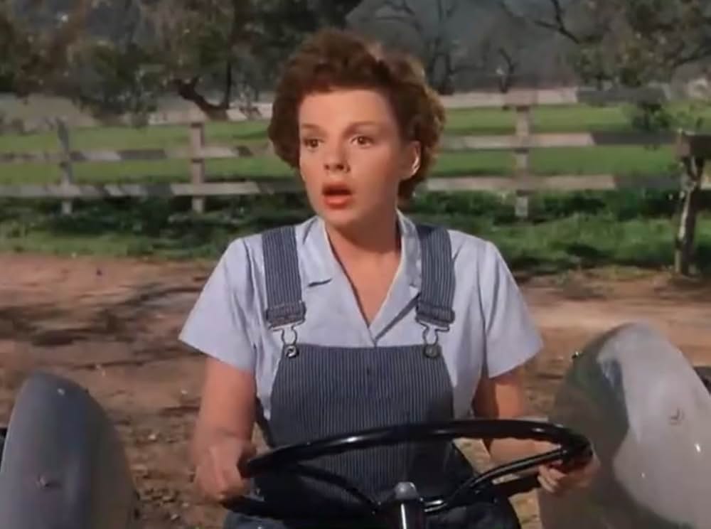 サマー・ストックの画像