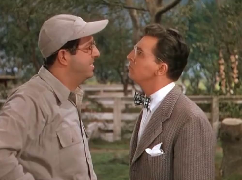 サマー・ストックの画像