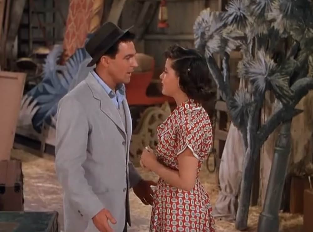 サマー・ストックの画像