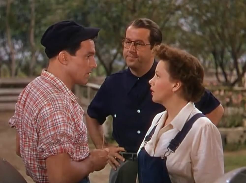 サマー・ストックの画像