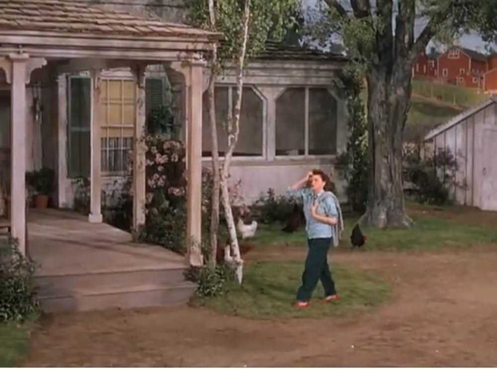 サマー・ストックの画像