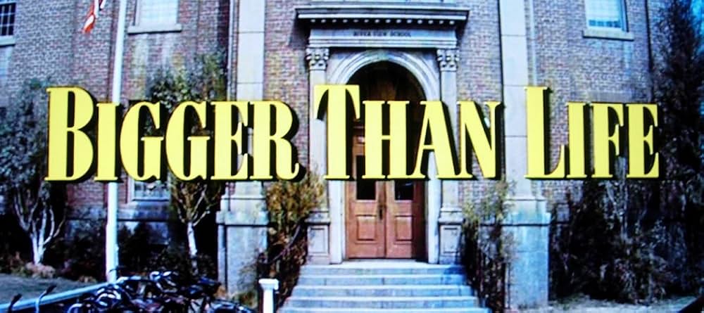 ビガー・ザン・ライフ 黒の報酬の画像