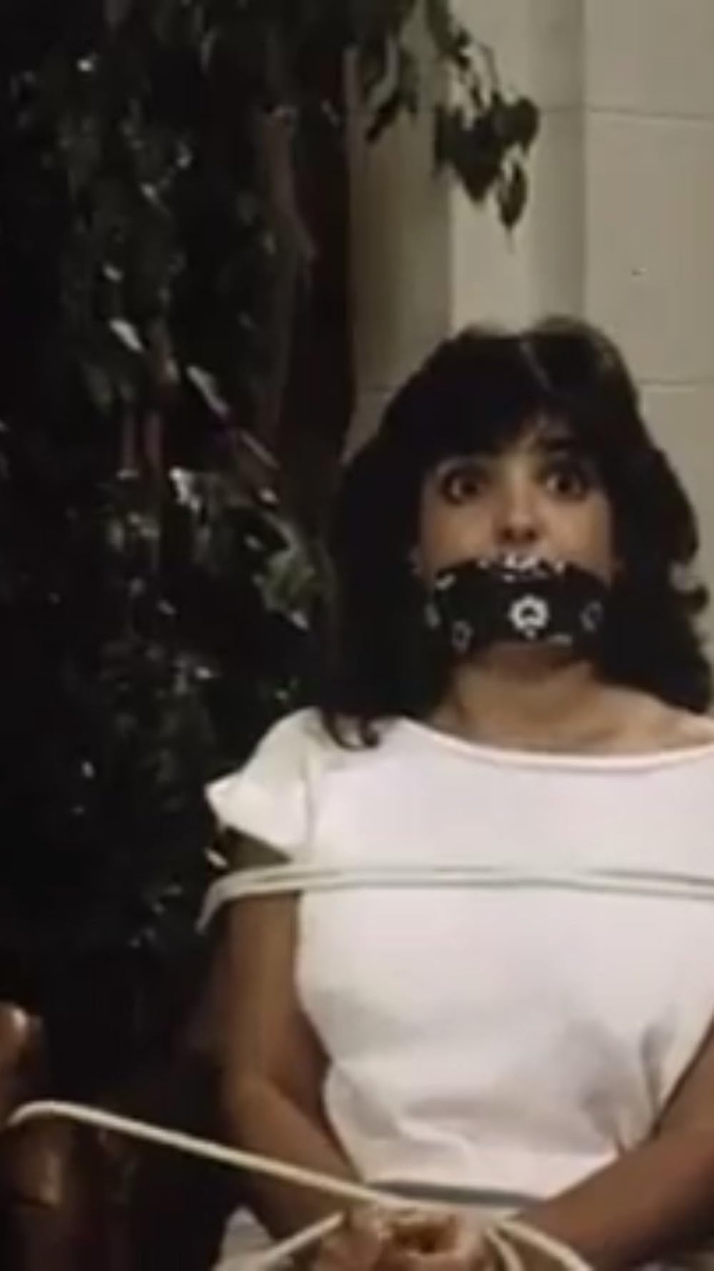 スティーブ・マーティンの ロンリー・ガイの画像