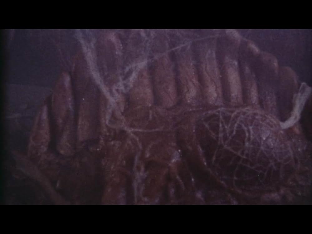 バイオ・スケアード／悪魔の遺伝子の画像