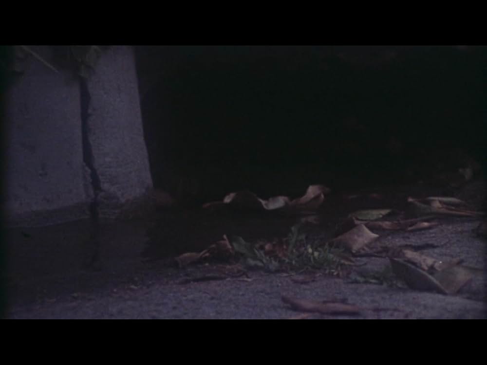 バイオ・スケアード／悪魔の遺伝子の画像